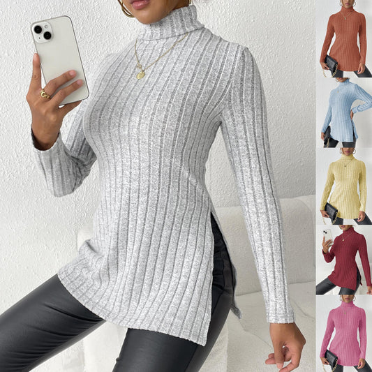 Women's Turtleneck Pullover Clothing Sweater